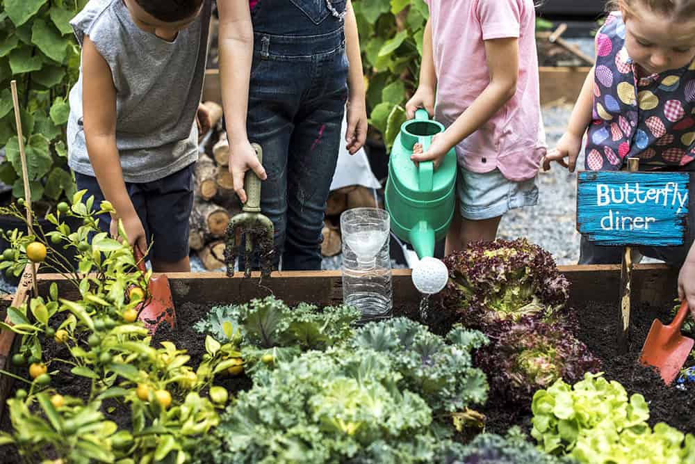 Children gardening in a vegetable plot, watering and planting with a "Butterfly Diner" sign in the background.