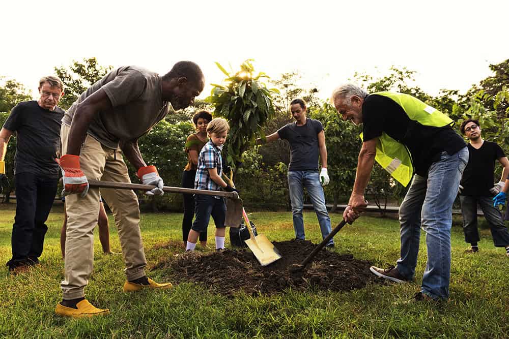 Volunteer planting tree with community members at Timebank Ireland event.