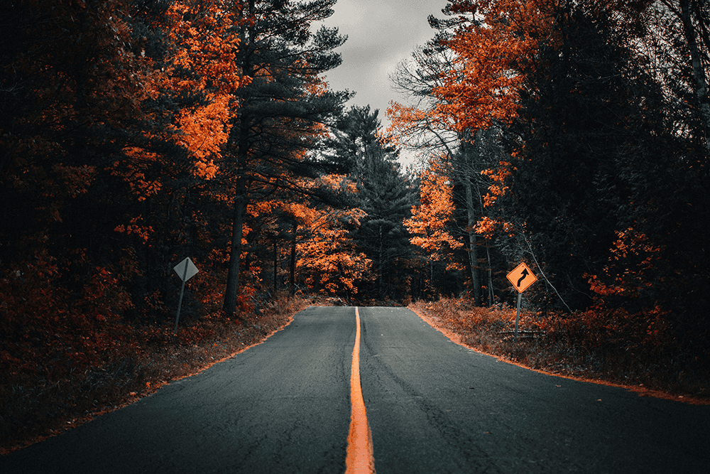Autumn forest road in Ireland with orange foliage and road signs, representing community and connection.