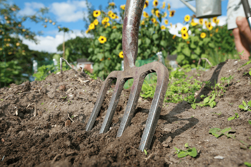 Garden soil with gardening fork for planting and community gardening activities in Ireland.